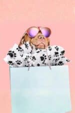 Patili Petshop 140 Mikron Hazır Baskılı Kargo Poşeti 25 x 30 +5 - Görsel 4