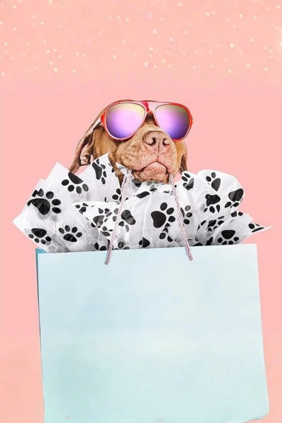 Patili Petshop 140 Mikron Hazır Baskılı Kargo Poşeti 25 x 30 +5 - Görsel 4